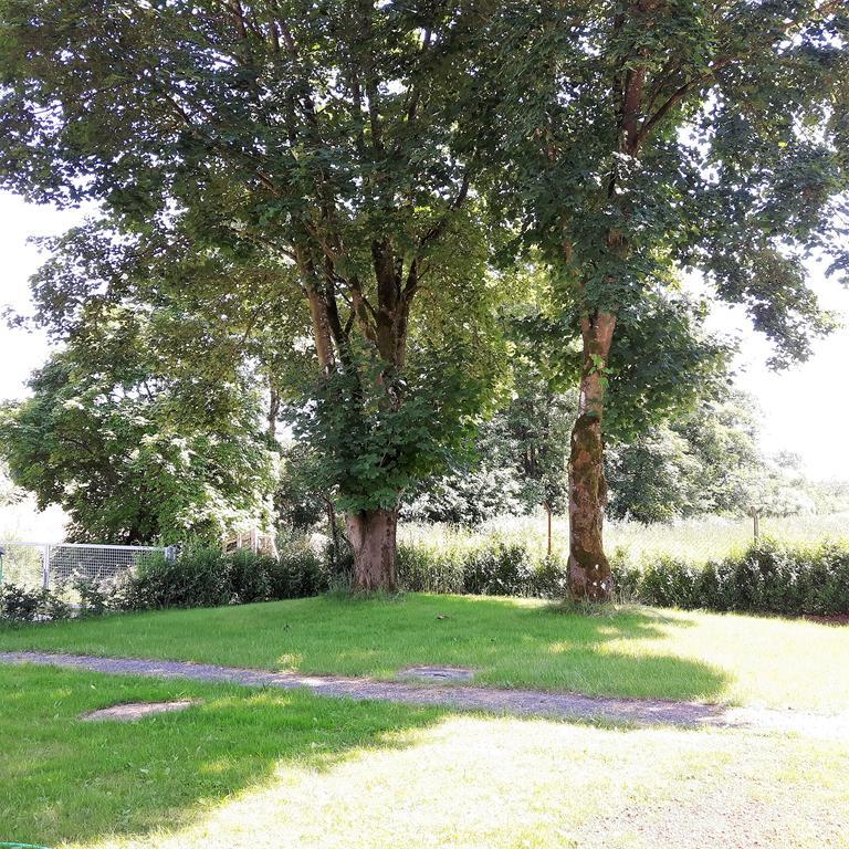 Landferien Eifel Leilighet Pittenbach Eksteriør bilde