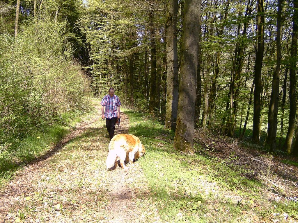 Landferien Eifel Leilighet Pittenbach Eksteriør bilde