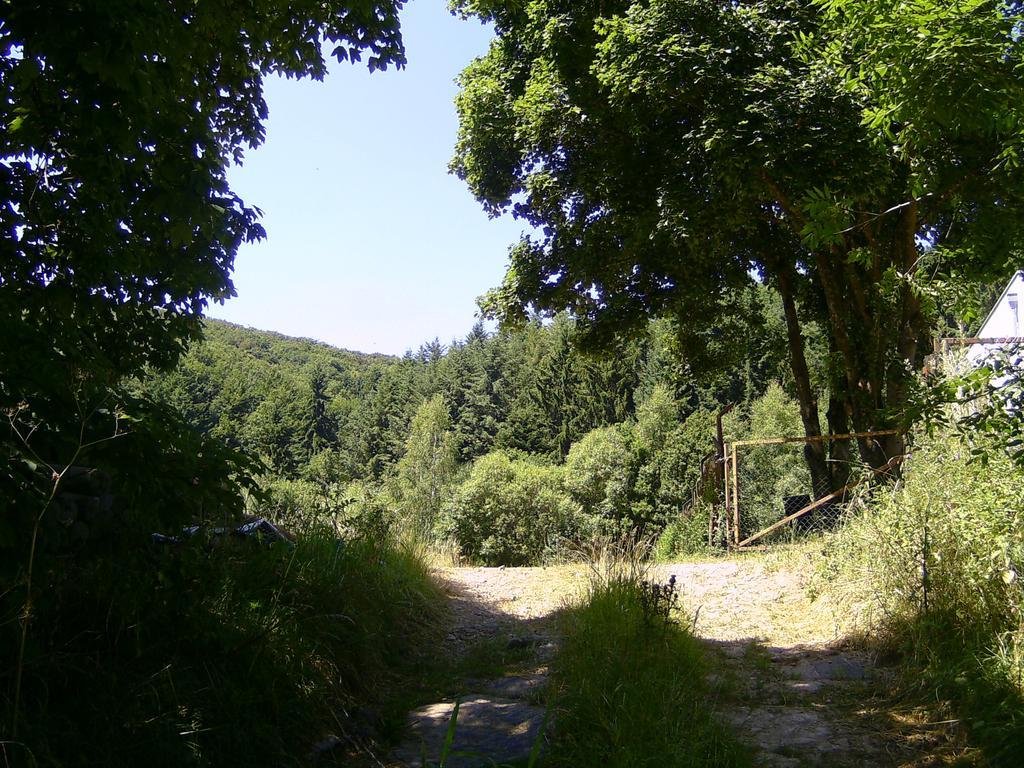 Landferien Eifel Leilighet Pittenbach Eksteriør bilde